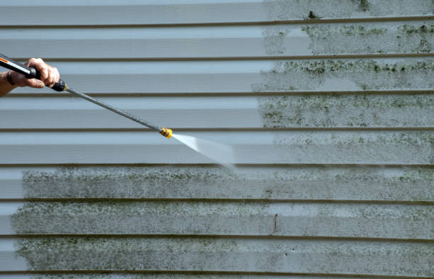 Best Pool Deck Cleaning  in Lubeck, WV